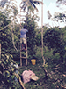 Villa Fuscagna Farms